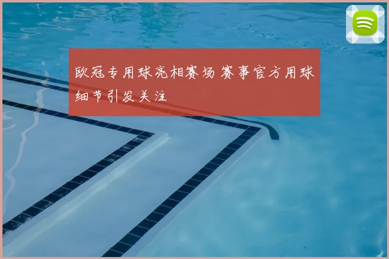 欧冠专用球亮相赛场 赛事官方用球细节引发关注