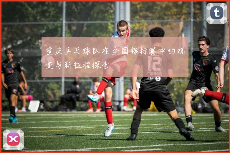 重庆乒乓球队在全国锦标赛中的蜕变与新征程探索