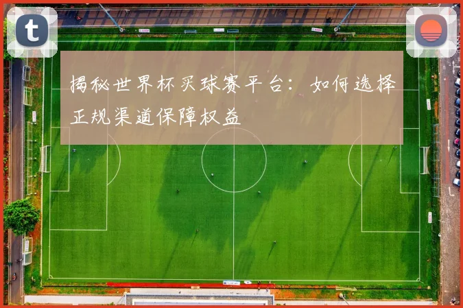 揭秘世界杯买球赛平台:如何选择正规渠道保障权益
