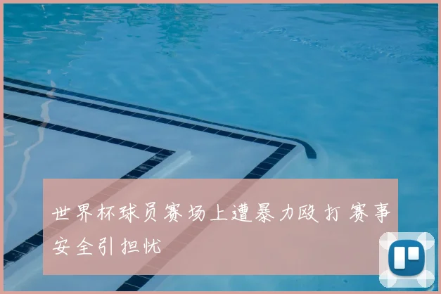 世界杯球员赛场上遭暴力殴打 赛事安全引担忧