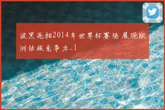 波黑亮相2014年世界杯赛场 展现欧洲劲旅竞争力_1