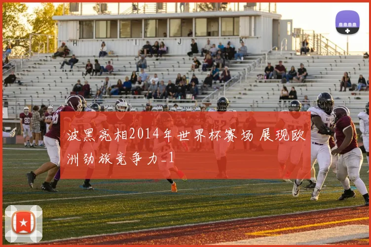 波黑亮相2014年世界杯赛场 展现欧洲劲旅竞争力_1
